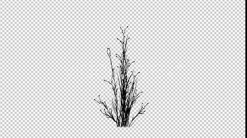 Growing Flower Silhouette | Motion Graphics - Envato elements