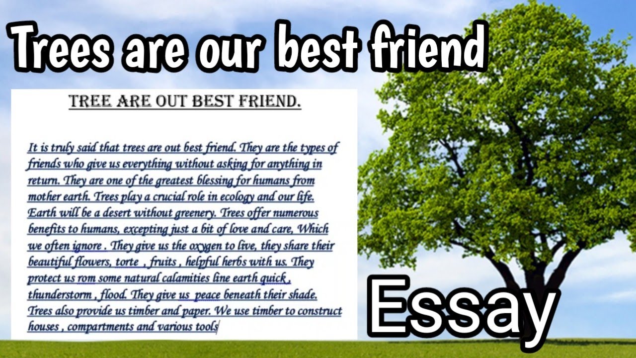 Tree are our best friends Essay. Tree are best friendsدرخت ہمارےسب