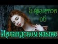 5 ФАКТОВ ОБ ИРЛАНДСКОМ ЯЗЫКЕ, НЕ, НУ СЕЙЧАС ТЫ ОБ ЭТОМ ТОЧНО НЕ ЗНАЛ