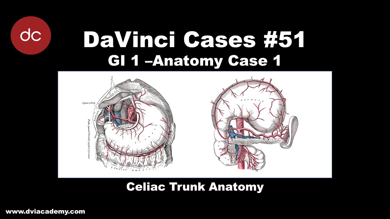 Celiac Trunk Anatomy Case [#DaVinciCases Gastrointestinal 1 - Anatomy Case  1], image size:1280x720