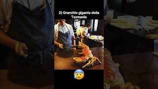 Top 3 Granchi Più Grandi Al Mondo