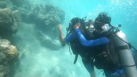 Scuba Diving in Andaman and Nicobar Islands 4k