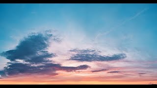 Olivia Rodrigo - The Grudge Lyrics