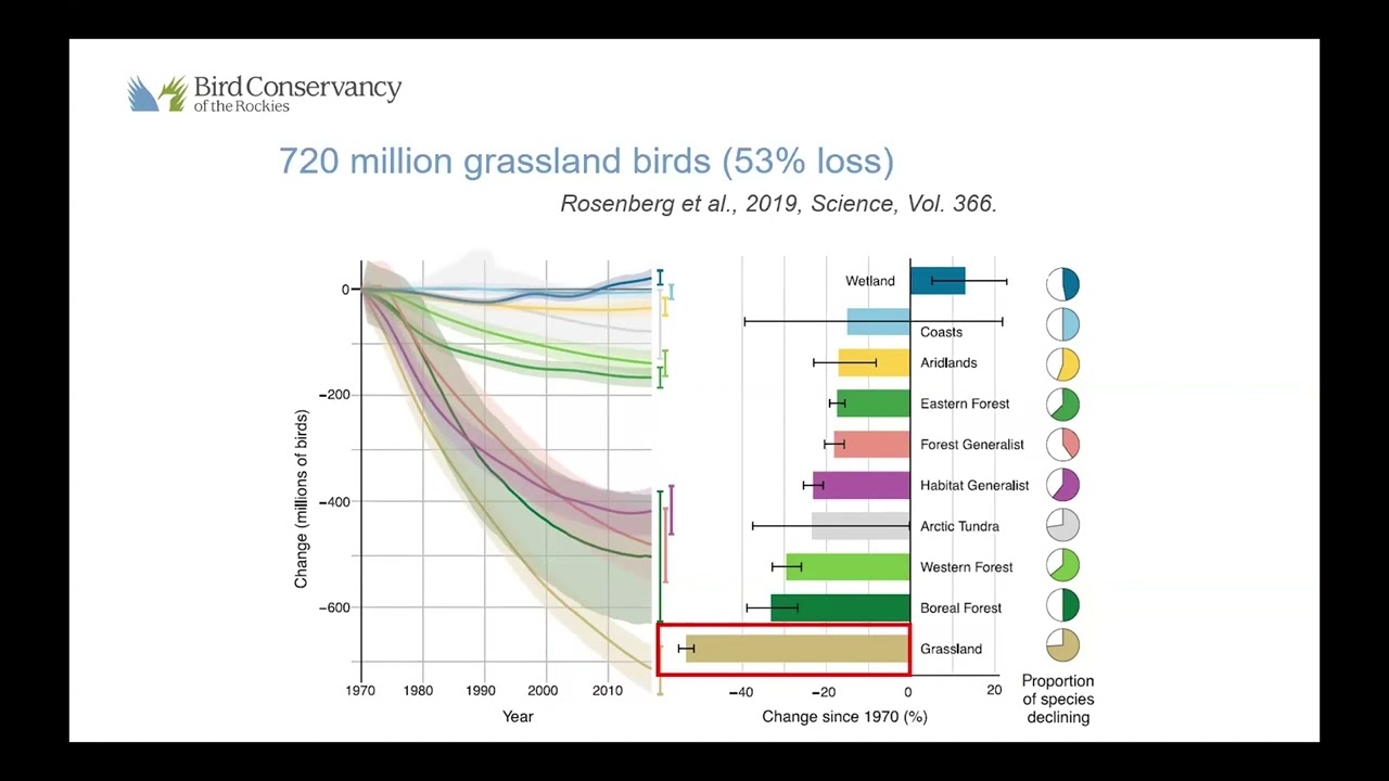 Mountain Plover Ecology and Conservation in North America by Angela Dwyer (MAR 2025)