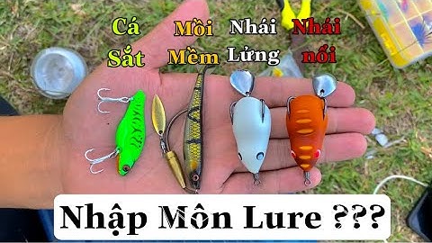 Nhập Môn Lure Cần Những Gì ???