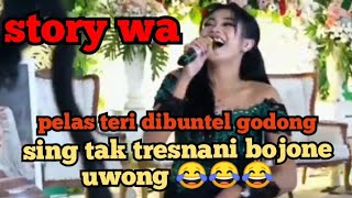 Pelas teri dibuntel godong sing tak tresnani bojone uwong (STORY WA)