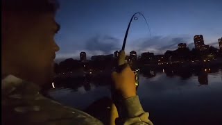 How to Catch Salmon From Shore Chicago Illinois Lake Michigan Salmon Fishing tips to catch fish now