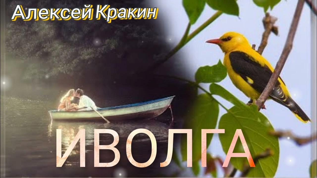 Иволга песня слушать. Иволга запоет слушать. Иволга запоет слушать. Иволга запоет слушать. Иволга 2.