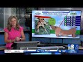 Dog Walk Forecast 9-2-26 Boone