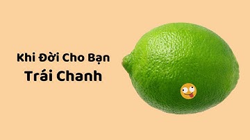 Khi Đời Cho Bạn Trái Chanh