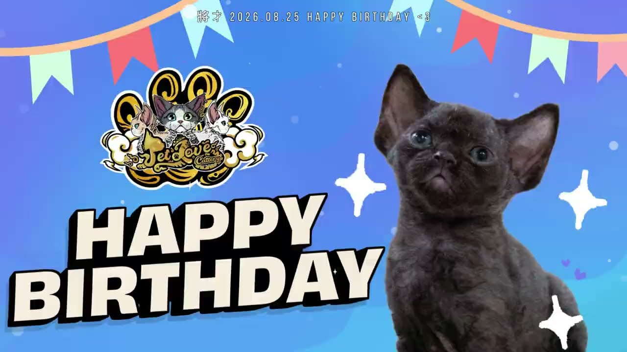 🎂寵愛祝 將才 生日快樂樂~🥳家長可愛的德文寶貝一歲囉!😻 縮圖