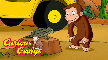 The Desert Is Full of Life! 🐵 Curious George 🐵 Kids Cartoon 🐵 Kids Movies