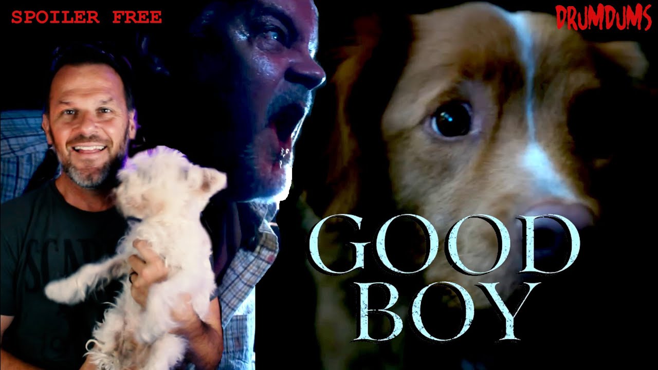 GOOD BOY — трогательный фильм ужасов про собак (обзор 2025 года… специальное вступление для Леви)...