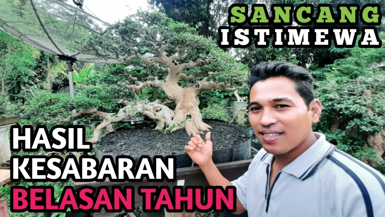 SEPERTI INILAH SANCANG ISTIMEWA HASIL KESABARAN BELASAN TAHUN