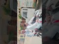 ‼️प्रधान कन्हैया शर्मा ‼️