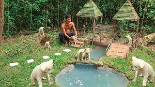 Building Dog Playground and Build Mini Swimming pool for Dogs