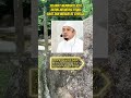 SELAWAT || Syafaat Nabi Muhammad Untuk Ummatnya|| Salam Maulidurrasul 1444 H