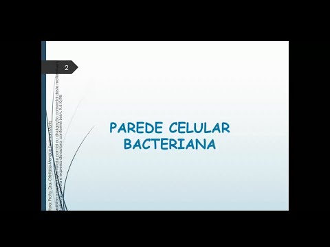 Vídeo: Do que é feito o periplasma?