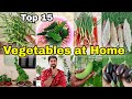 15 Easy Vegetables you can grow at Home/pot | Small space kitchen garden at home