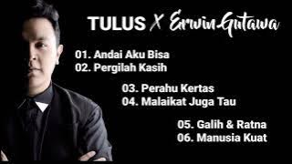cover lagu tulus ft erwin gutawa