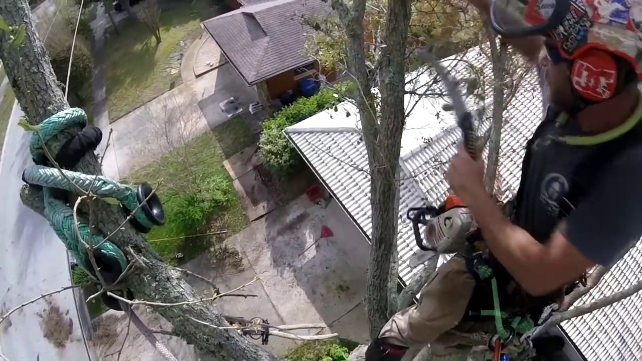 Span Rigging ( RAW ) removing leads over house. x-rigging , span rigging . half live ...