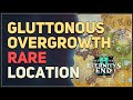 Gluttonous overgrowth wow