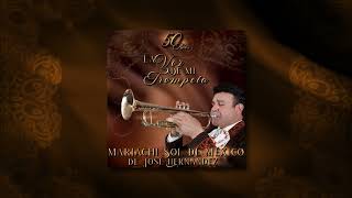 ⁠Misty (Visualizer) La Voz de Mi Trompeta Mariachi Sol de México de José Hernández ®