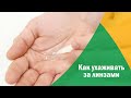 Как правильно ухаживать за контактными линзами?