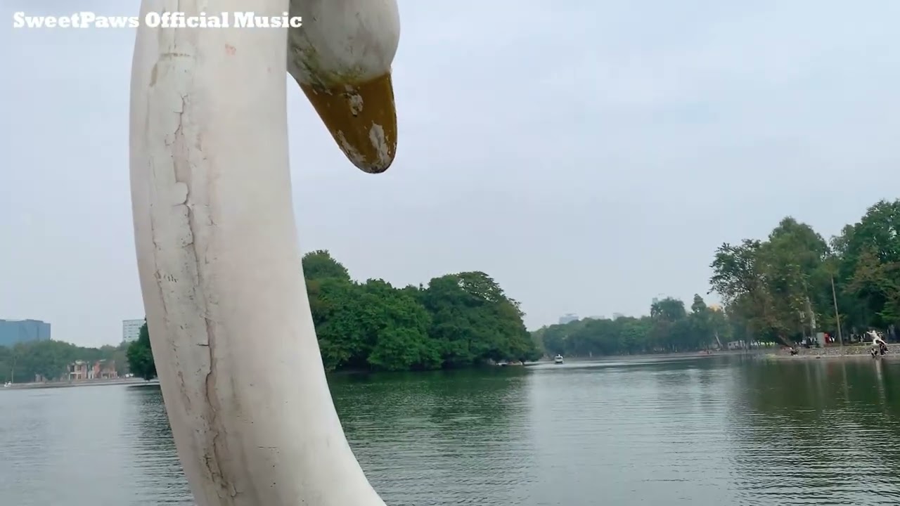 A Peaceful and Relaxing Day Out ~ Taking a Slow Break From Daily Life 🌿