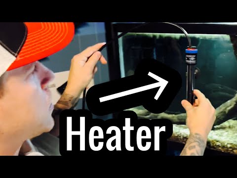 How to: Aquarium Heater Setup & Use