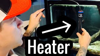 How to: Aquarium Heater Setup & Use