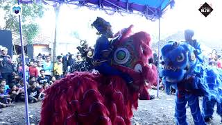 Wadon Selingan - Burok Mjm Live Wanasaraya Kalimanggis Kuningan [20-06-2019]