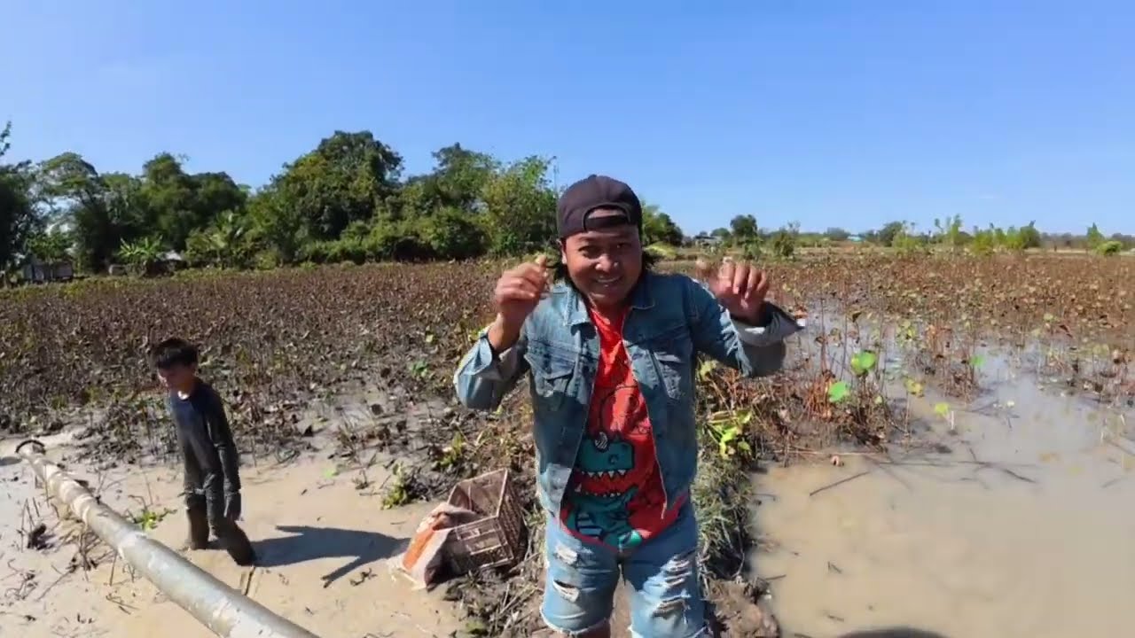 เลี้ยงปลาในบึงบัว ปล่อยแบบธรรมชาติปลาตัวใหญ่ๆ