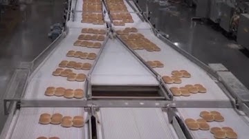 Amazing Bake Tech Proofer Making Factory with Automated Machines and Awesome Worker skill | Kitchens