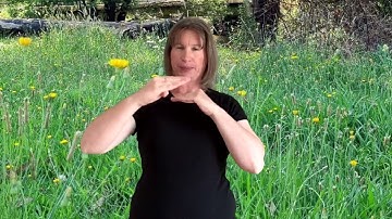 Auslan Storybooks - My Morning Walk