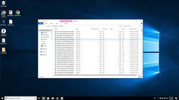 Hunchly Export and Import
