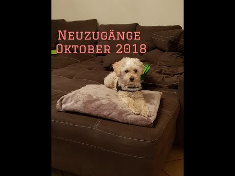 Meine Neuzugänge Oktober 2018 Teil 1