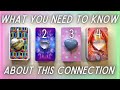 What You Need to Know About This Connection😅💓| PICK A CARD🔮 In-Depth Love Tarot Reading