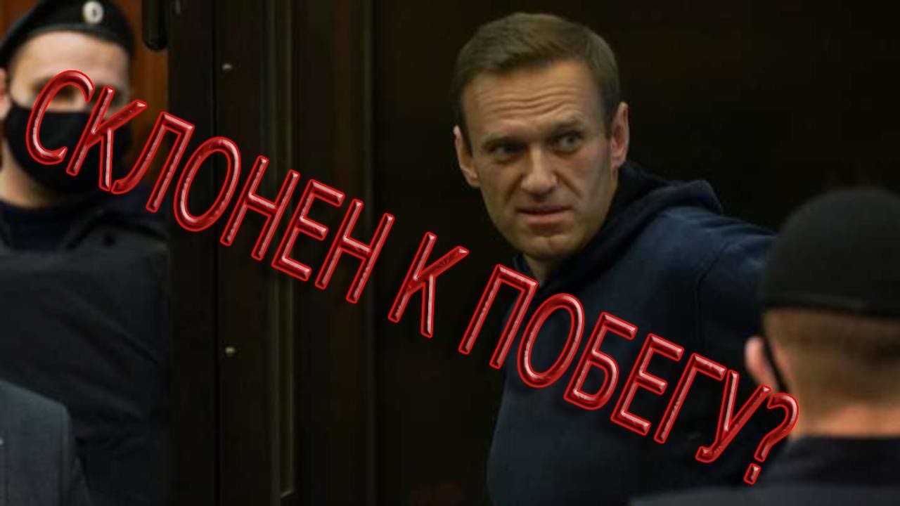 Склонен к побегу. Побег за Путиным. Побег Навального с больницы. Навальный побег медведи.