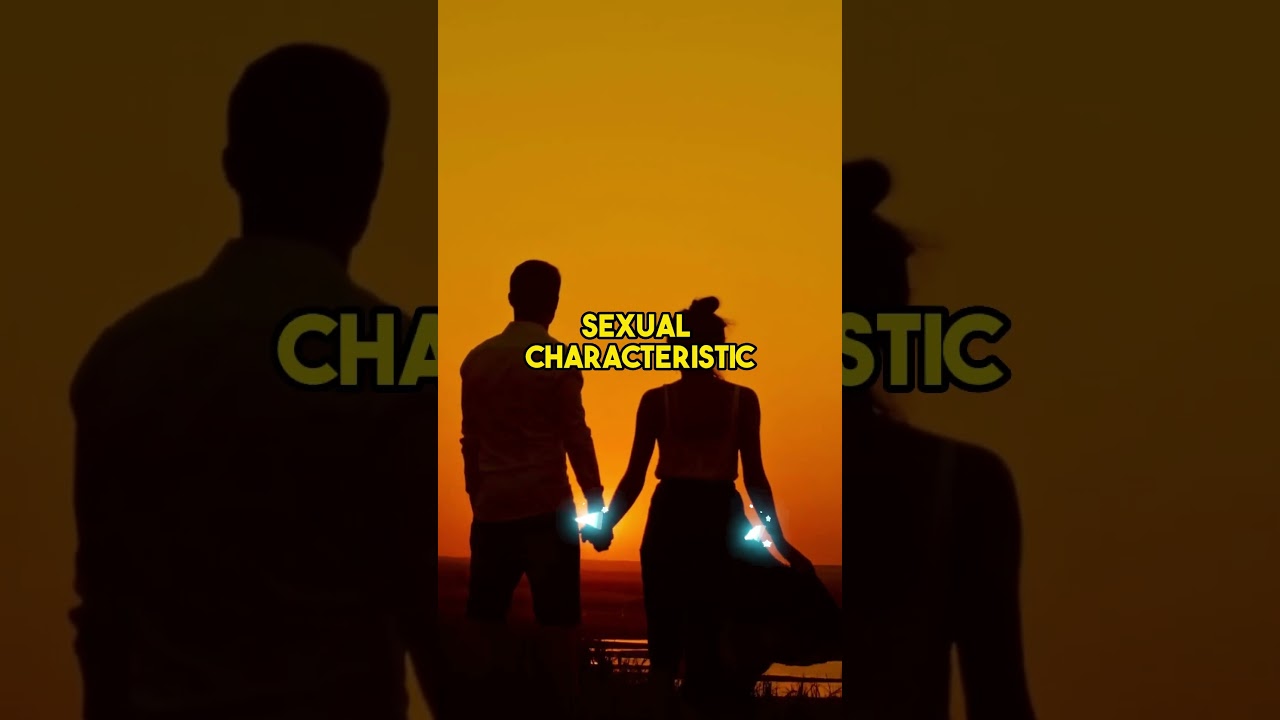 Why Do Men Have Beards? 🤔🔬🧔‍♂️ 