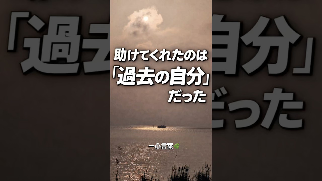 助けてくれたのは、“過去の自分”だった🌿 #心言葉 #人生 #自己成長 #考え方 #気づき #生き方 #自分を大切に #前向き #名言 #言葉 #心に響く言葉 #モチベーション #人間関係 #人生観