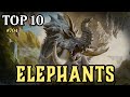 The best elephants in magic the gathering  prodigious pachyderms