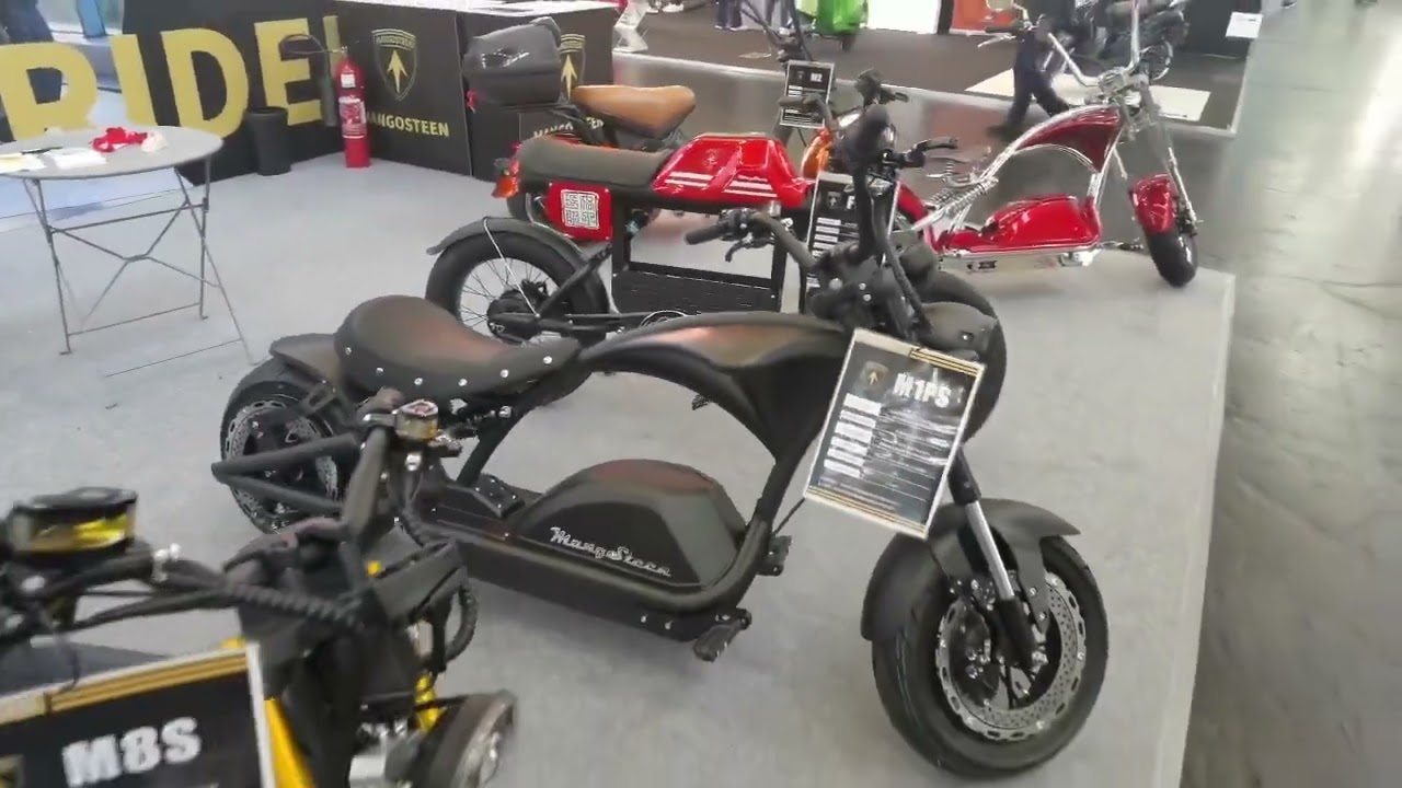 Rooder mangosteen citycoco chopper electric scooter ElektroRoller