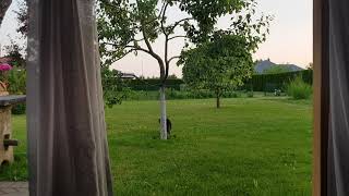 2021 M. Birželio 20 D.