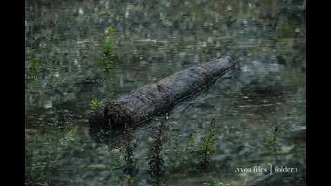 Memphis - .vvoa files (folder1)