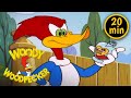 Love Potion | 3 Full Episodes | Woody Woodpecker
