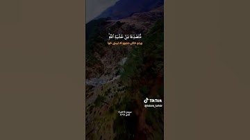 القران كريم بصوت_رعد محمد الكردي سورة الحشر #alquran #alqurankareem #لايك #الرحمن #رعد_الكردي
