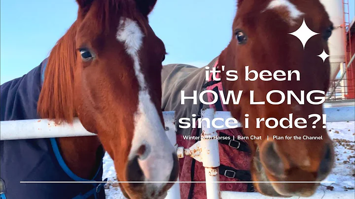 It's Been HOW LONG Since I Rode My Horse?! + Fitness & Nutrition for Equestrians??