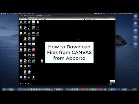 Apporto - Downloading Files From CANVAS