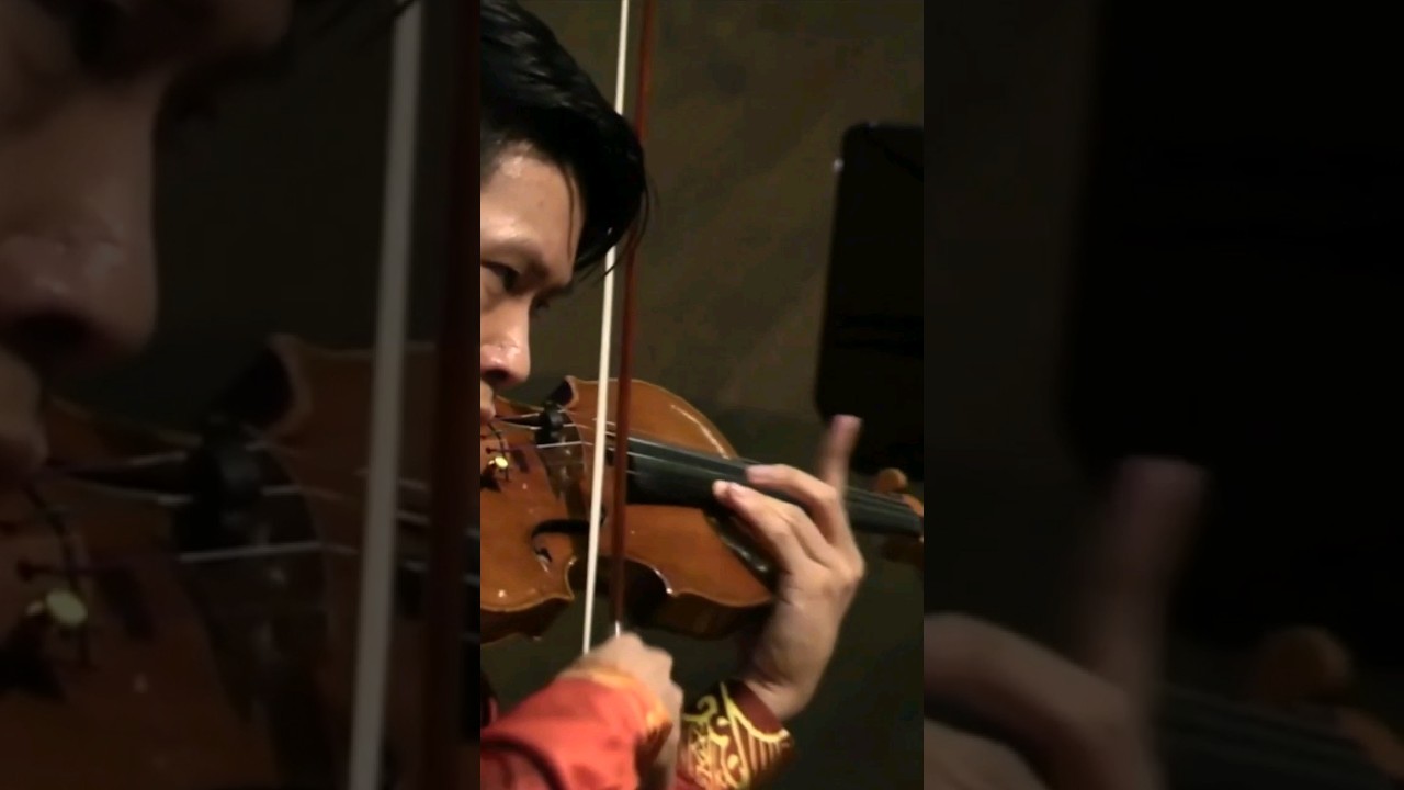 Is that a Violin or a Bird? #Shorts #violin #kersonleong #zigeunerweisen